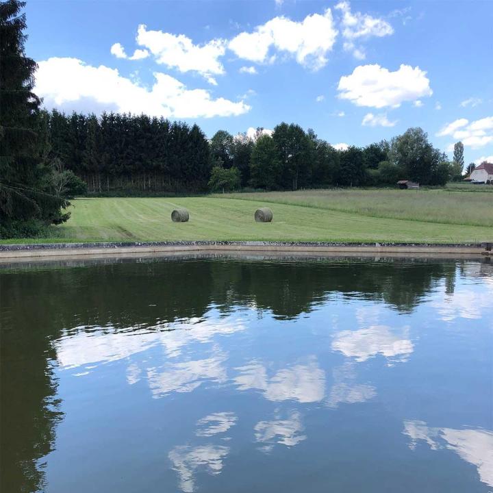 Vente de poissons d'étang Mulhouse